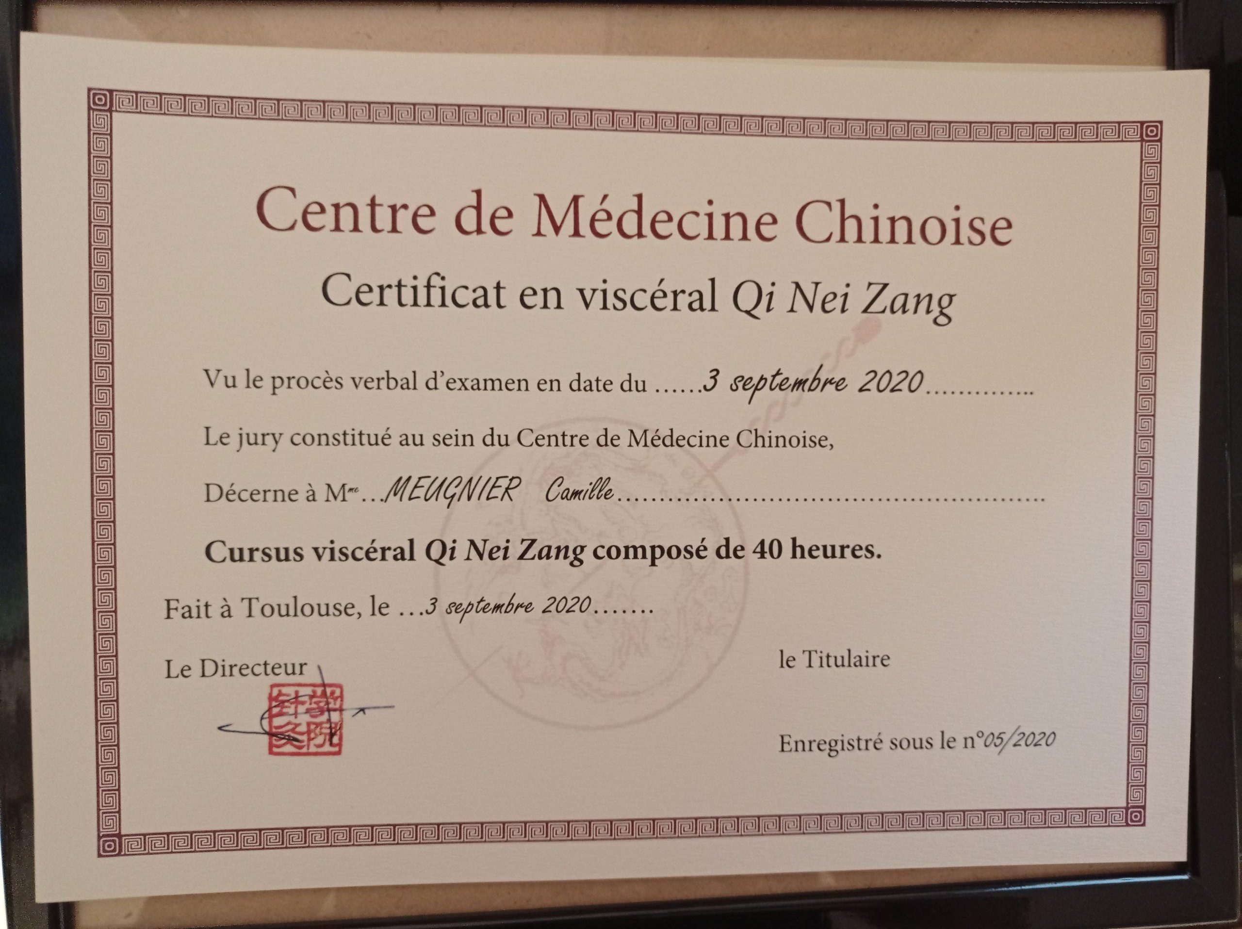 Qi nei zang